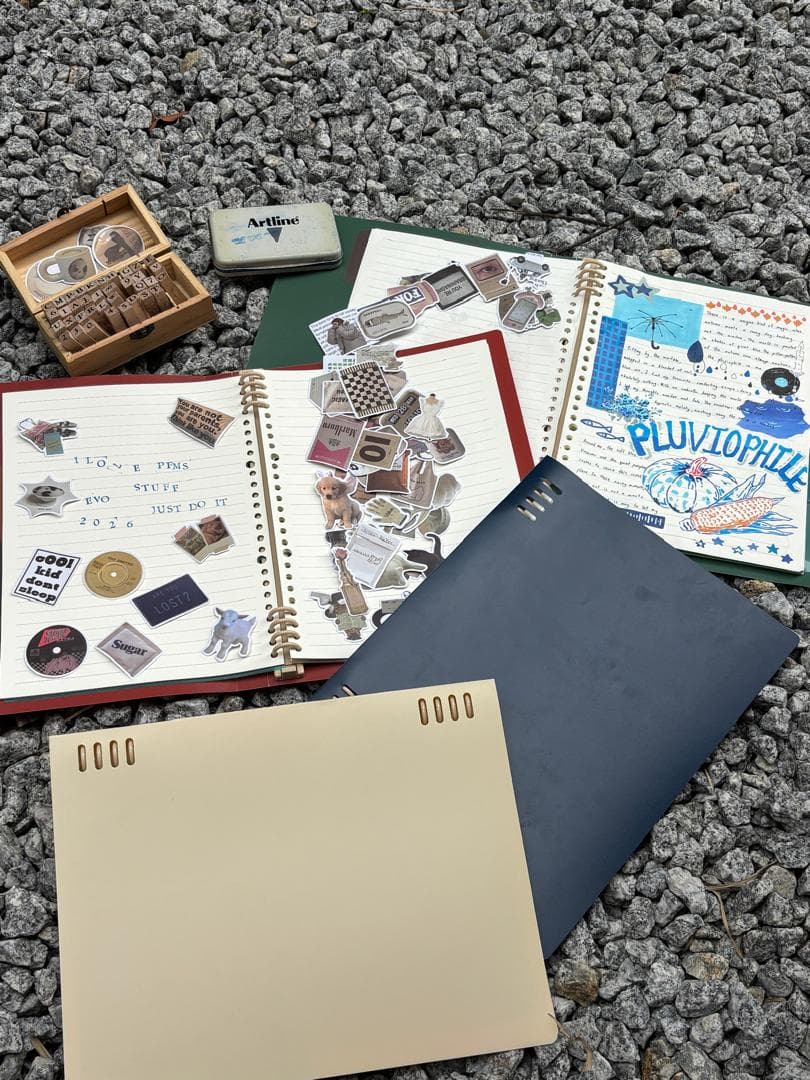Wild Builders Notebook