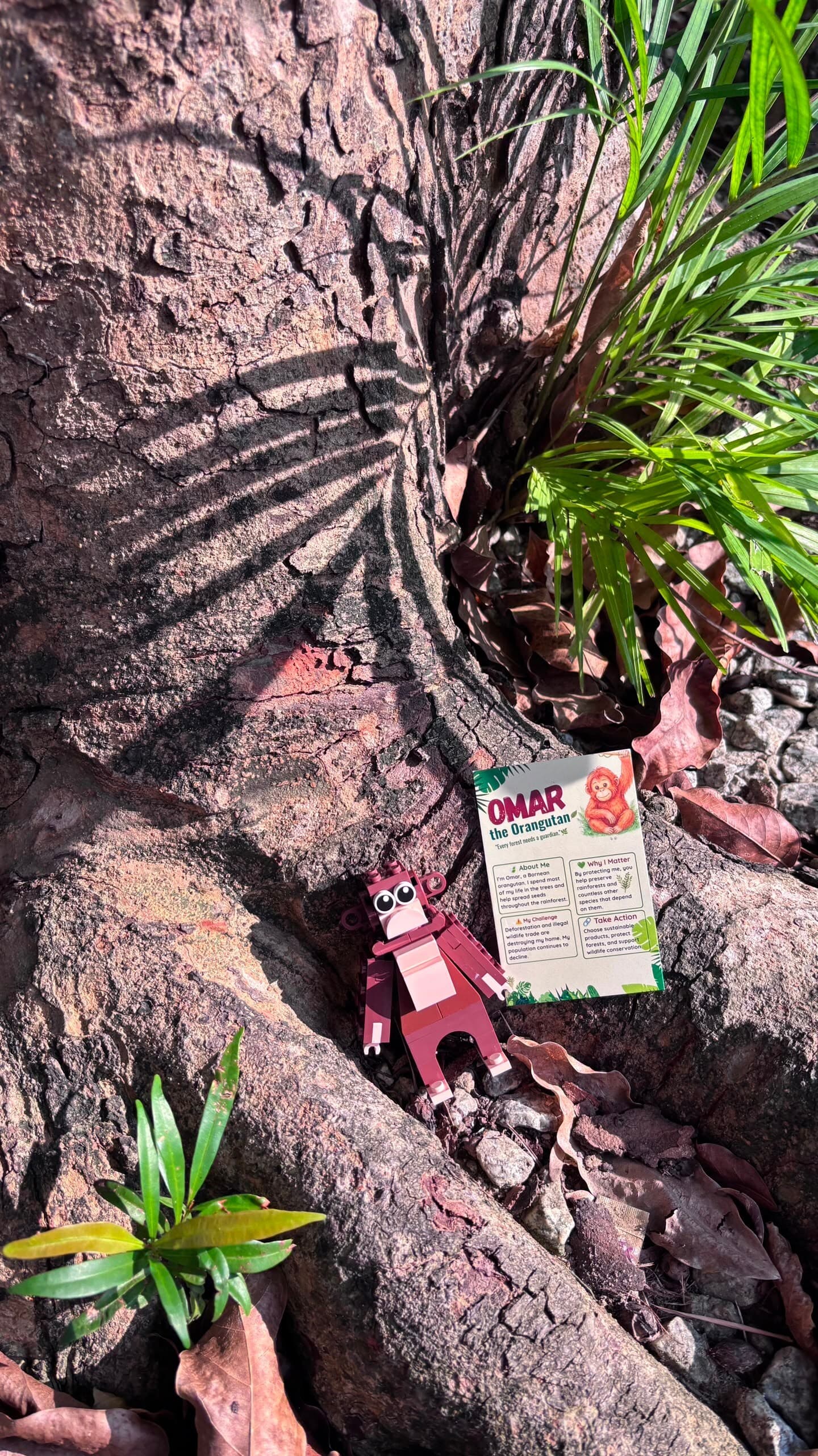 Wild Journey Blind Box