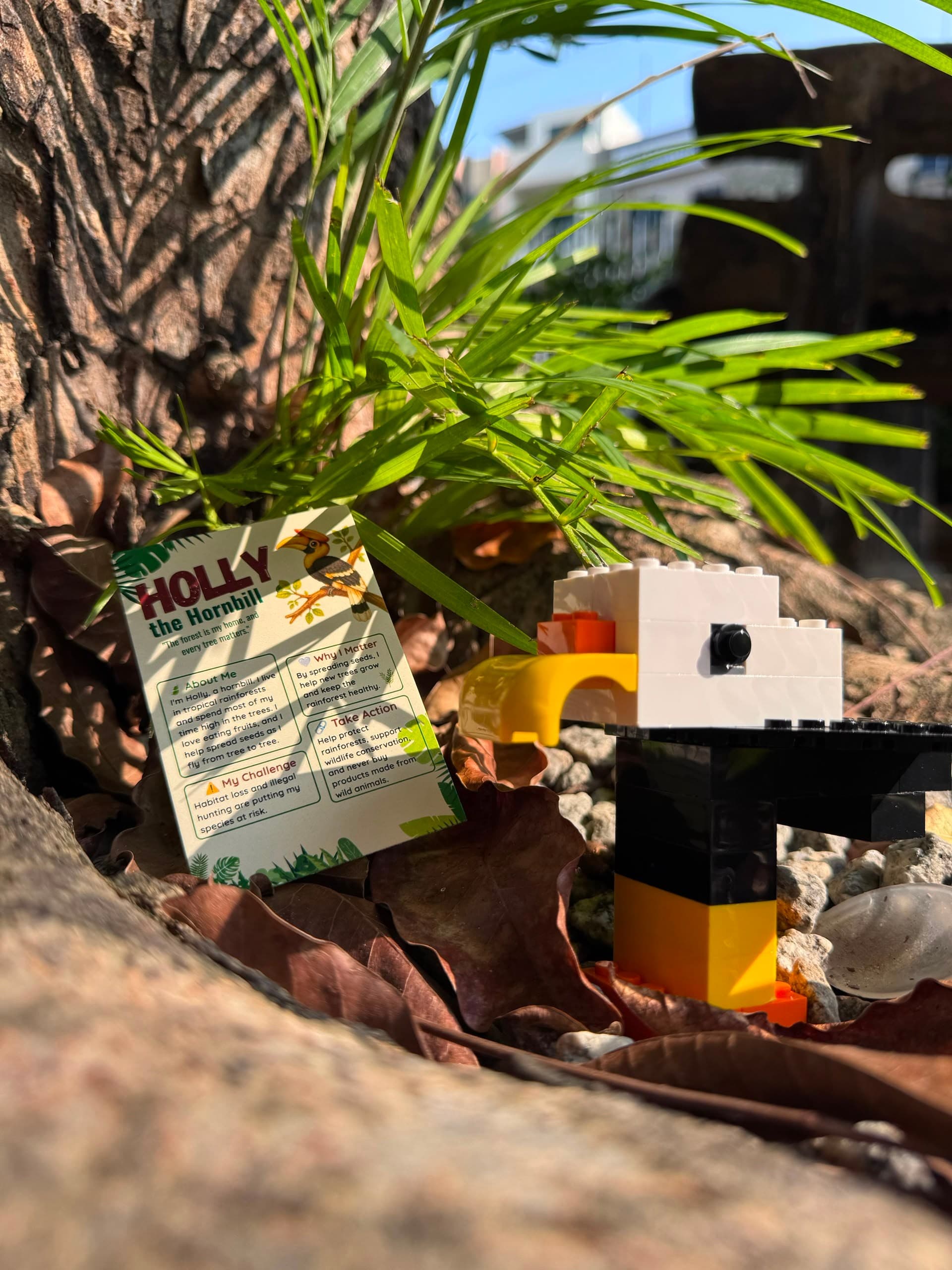 Wild Journey Blind Box